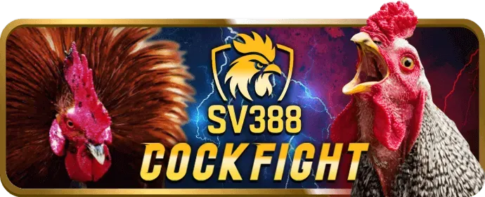 Các trò chơi và dịch vụ nổi bật của dv88